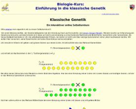 Klicken Sie auf das Bild, um zum Lesezeichen zu gelangen